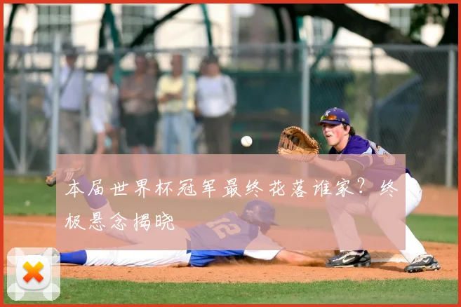 本届世界杯冠军最终花落谁家？终极悬念揭晓